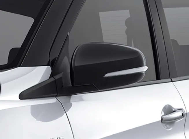 Electric and Auto Foldable Mirror with Turn Signal Lamp (Cruise, GX)