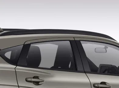 Roof Rail Black (GL Only)