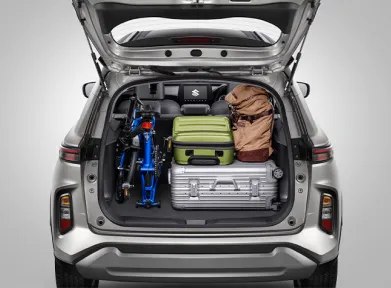 Spacious Baggage